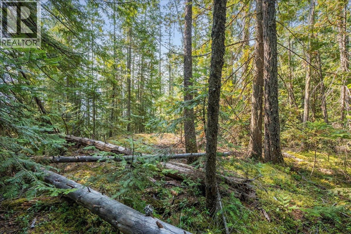 7025 Rogers Road, Balfour, British Columbia  V1L 6S5 - Photo 58 - 10397833