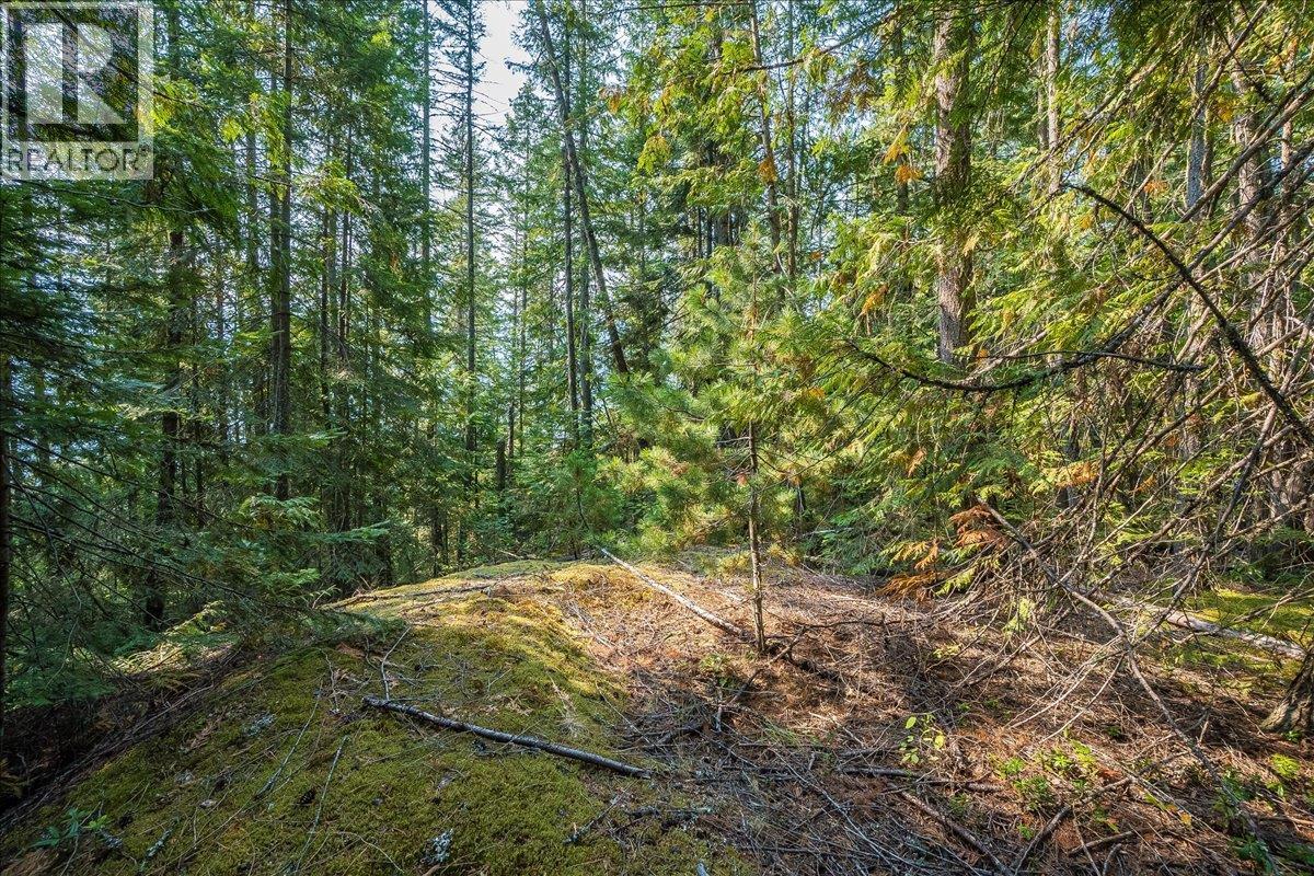 7025 Rogers Road, Balfour, British Columbia  V1L 6S5 - Photo 59 - 10397833