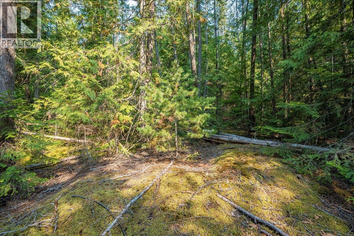 7025 Rogers Road, Balfour, British Columbia  V1L 6S5 - Photo 60 - 10397833