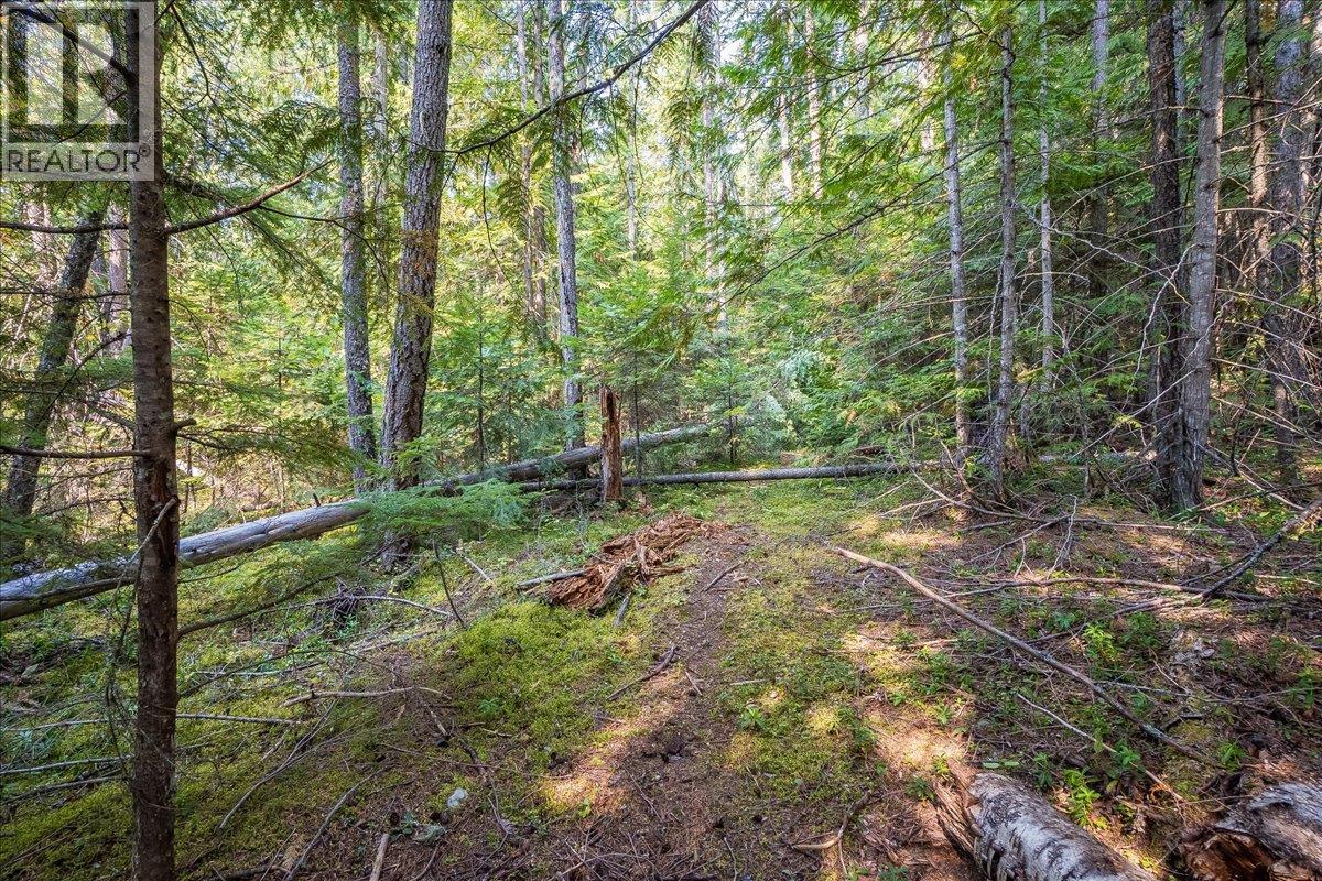 7025 Rogers Road, Balfour, British Columbia  V1L 6S5 - Photo 61 - 10397833