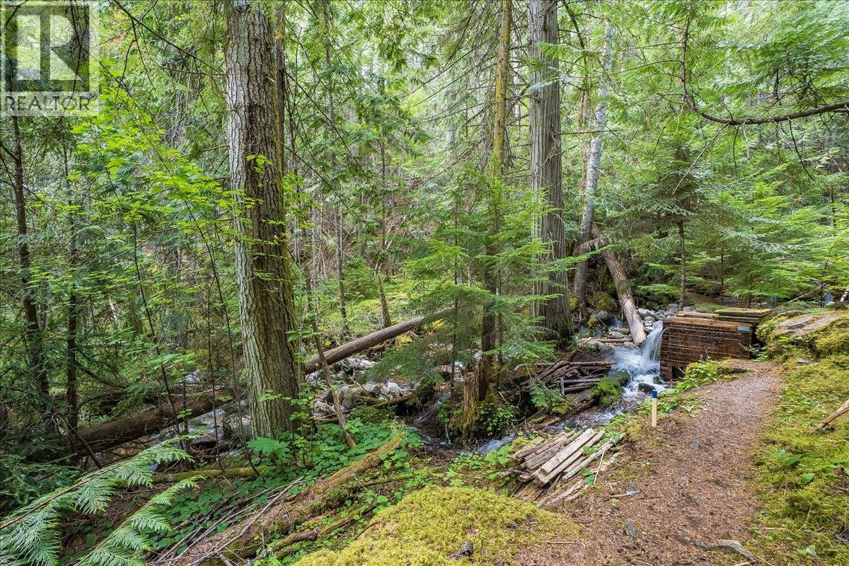 7025 Rogers Road, Balfour, British Columbia  V1L 6S5 - Photo 8 - 10397833