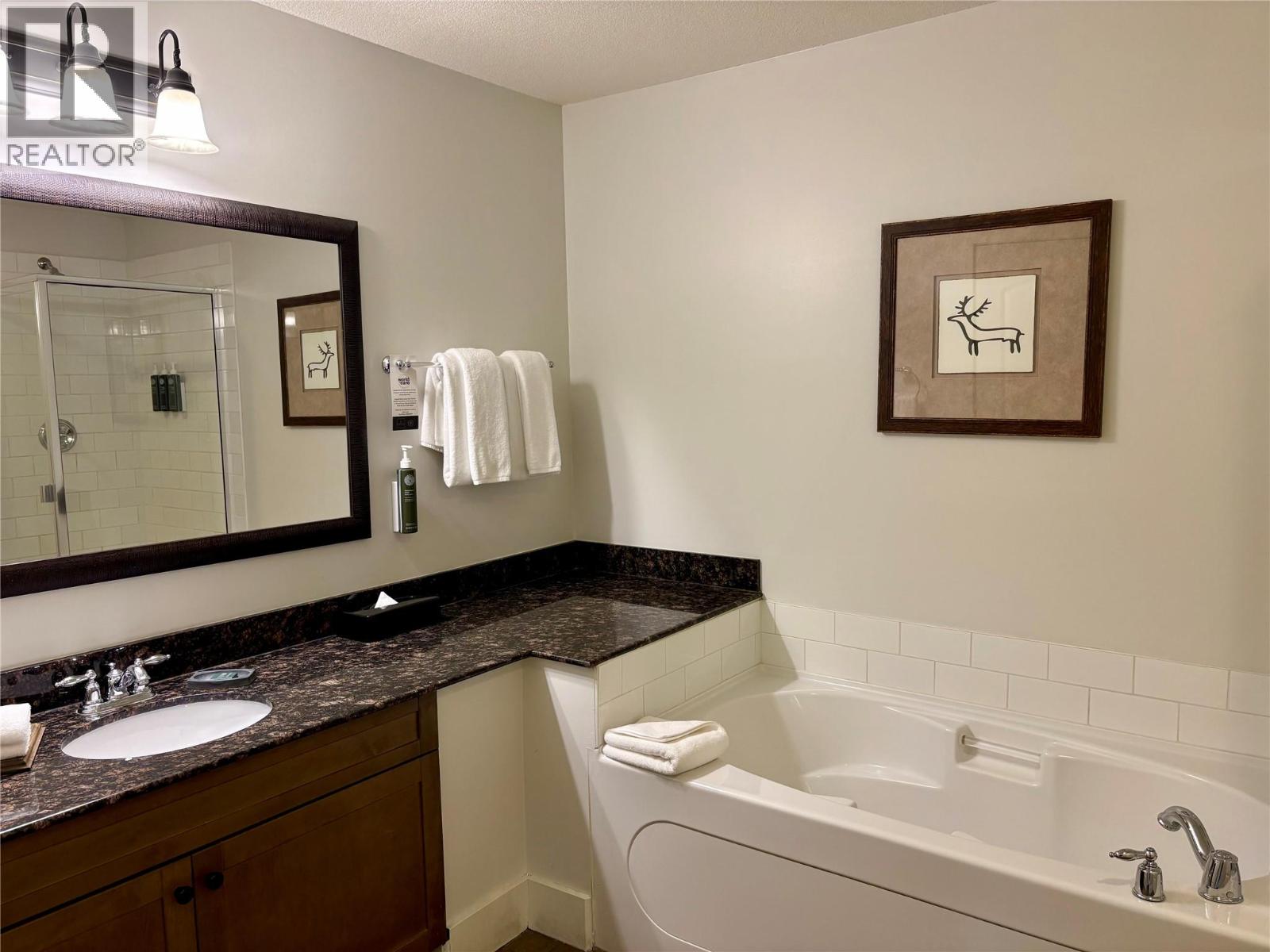 1200 Rancher Creek Road Unit# 358c, Osoyoos, British Columbia  V0H 1V6 - Photo 10 - 10398409