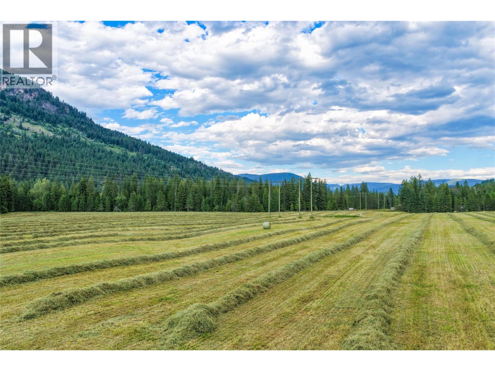 26 Byers Road, Cherryville, British Columbia  V0E 2G1 - Photo 40 - 10398253