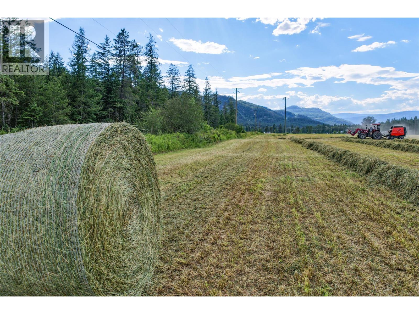 26 Byers Road, Cherryville, British Columbia  V0E 2G1 - Photo 42 - 10398253