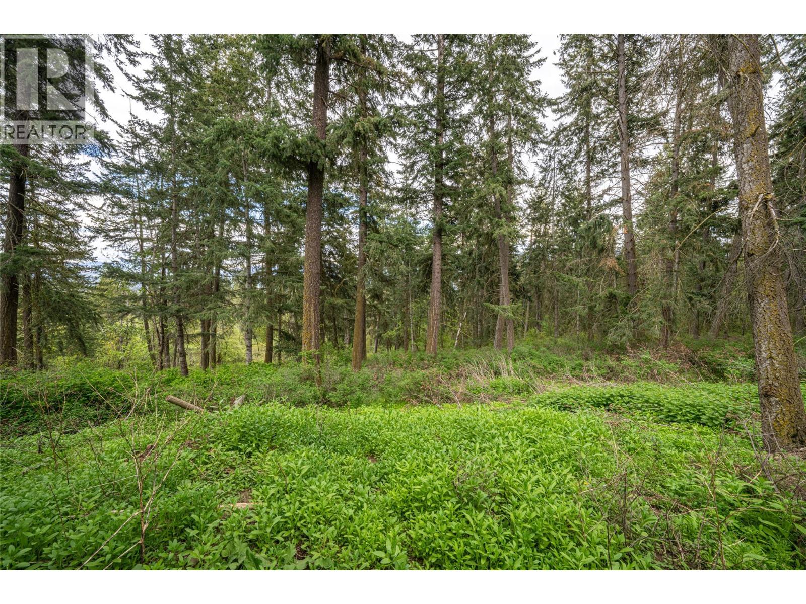 4358 Chamberlaine Road, Spallumcheen, British Columbia  V4Y 0M1 - Photo 66 - 10398457