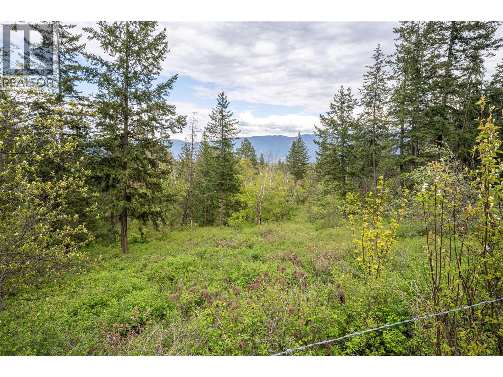 4358 Chamberlaine Road, Spallumcheen, British Columbia  V4Y 0M1 - Photo 67 - 10398457