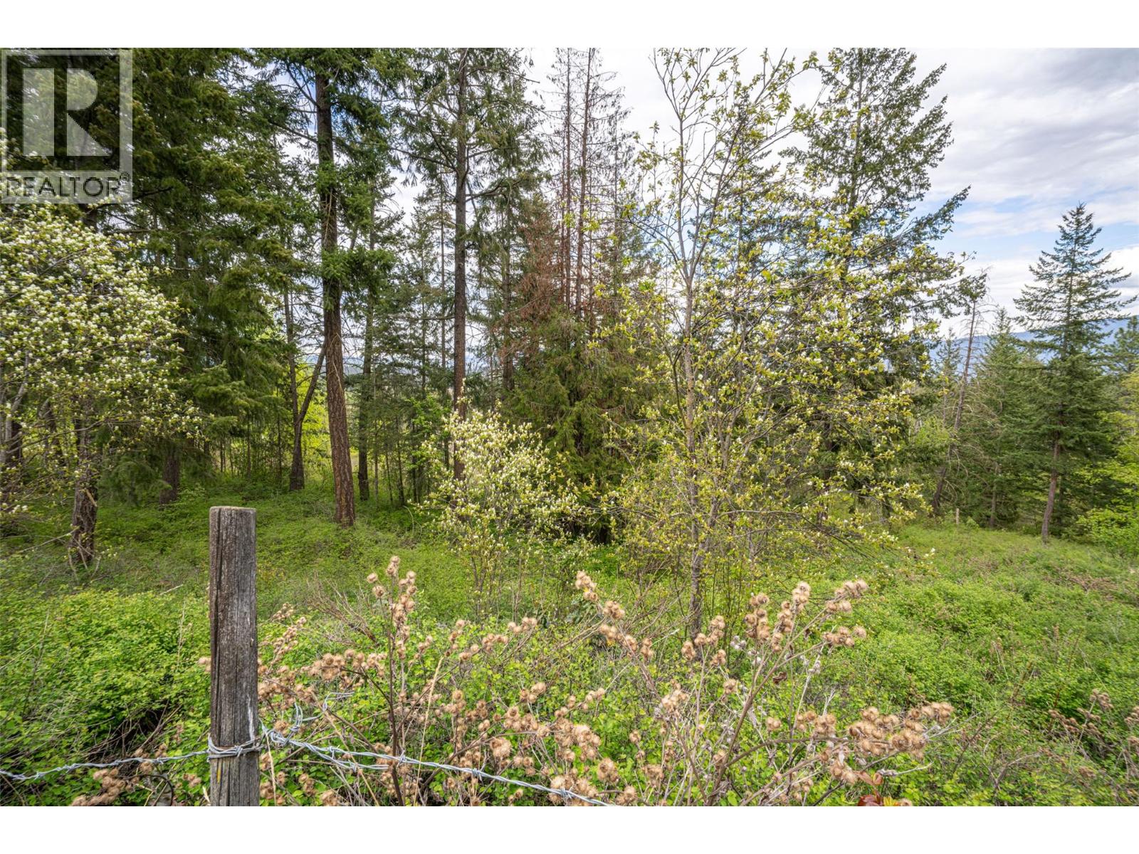 4358 Chamberlaine Road, Spallumcheen, British Columbia  V4Y 0M1 - Photo 68 - 10398457