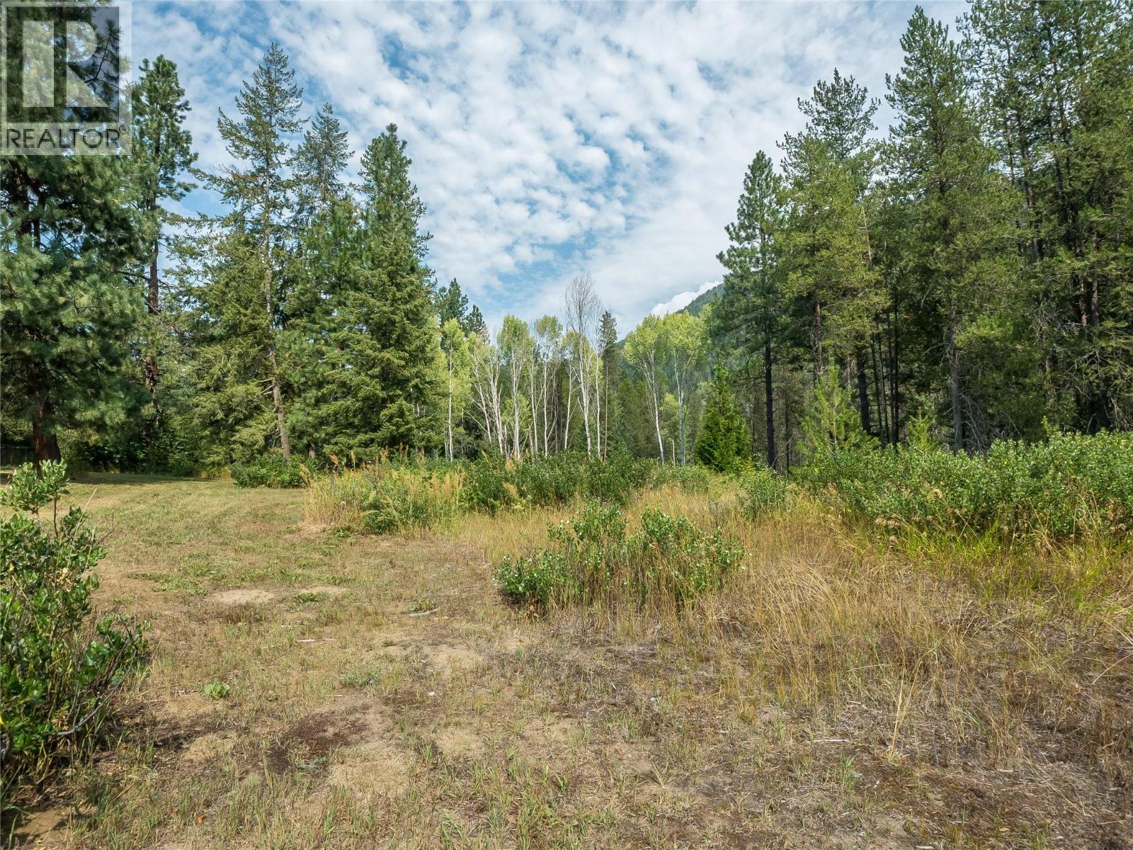 1629 Putter Lane, Castlegar, British Columbia  V1N 4W7 - Photo 6 - 10398418