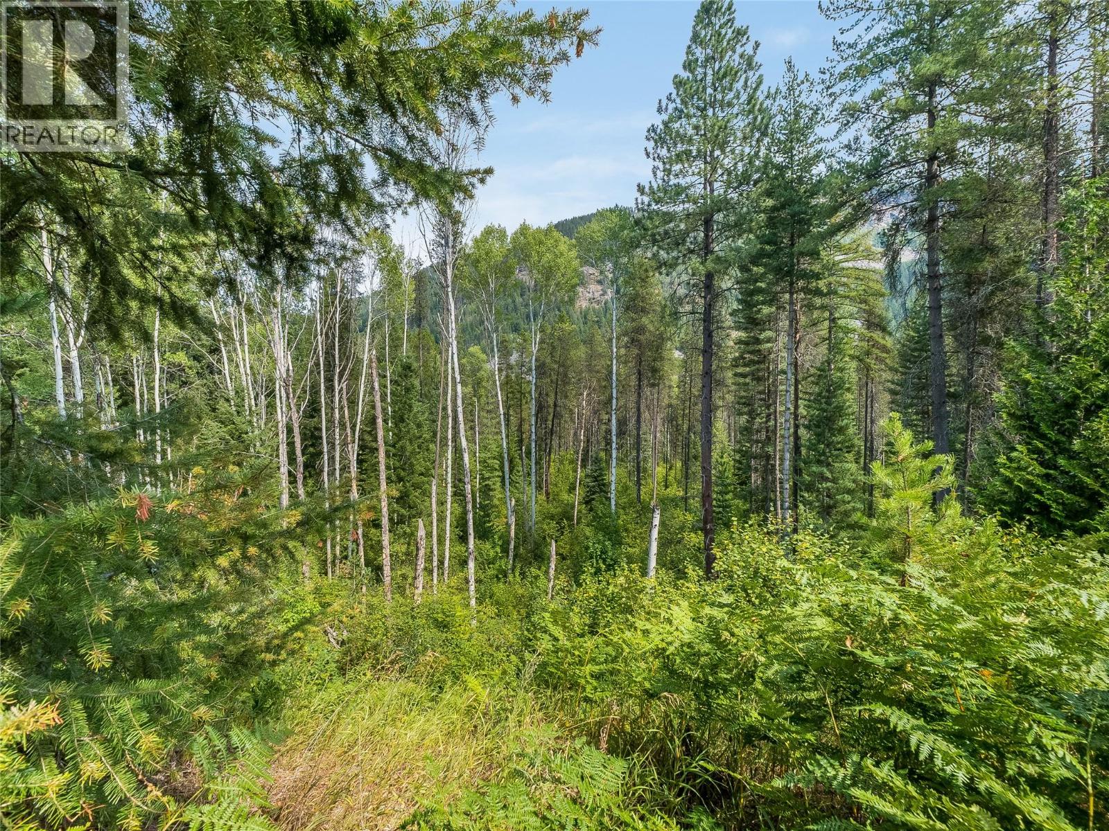 1629 Putter Lane, Castlegar, British Columbia  V1N 4W7 - Photo 7 - 10398418