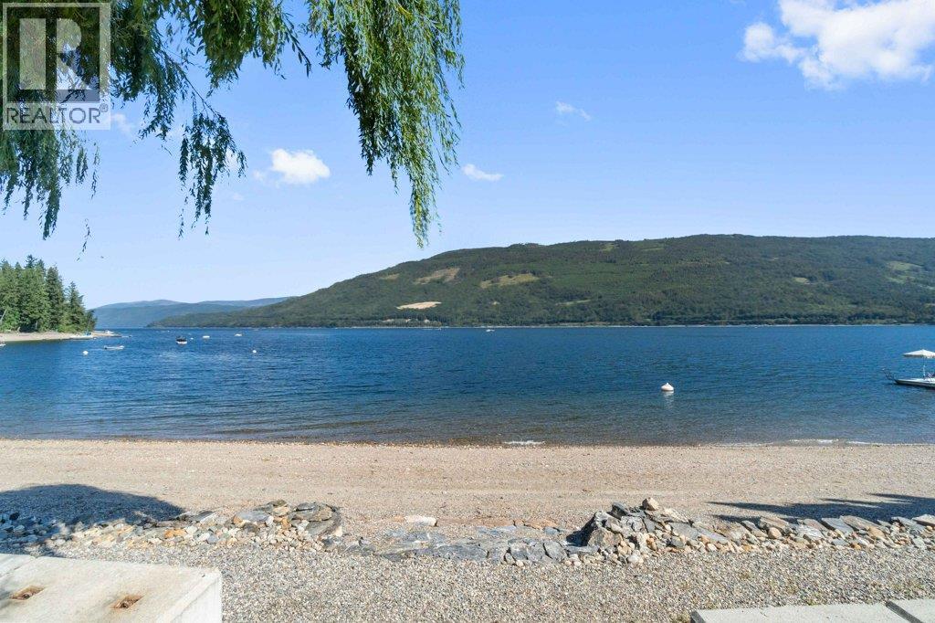 4842 Sunnybrae Canoe Point Road, Tappen, British Columbia  V0E 2X1 - Photo 94 - 10398604