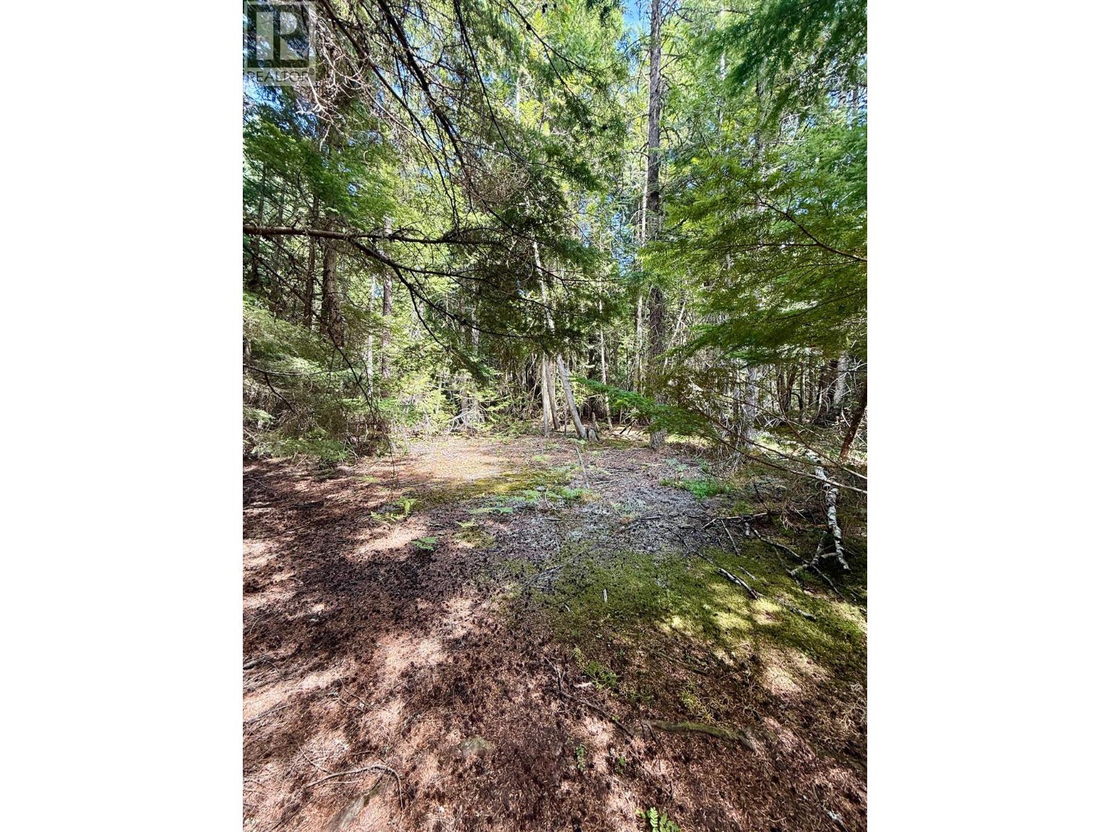 Claybrick Road Lot# 7, Winlaw, British Columbia  V0G 2J0 - Photo 1 - 10398541