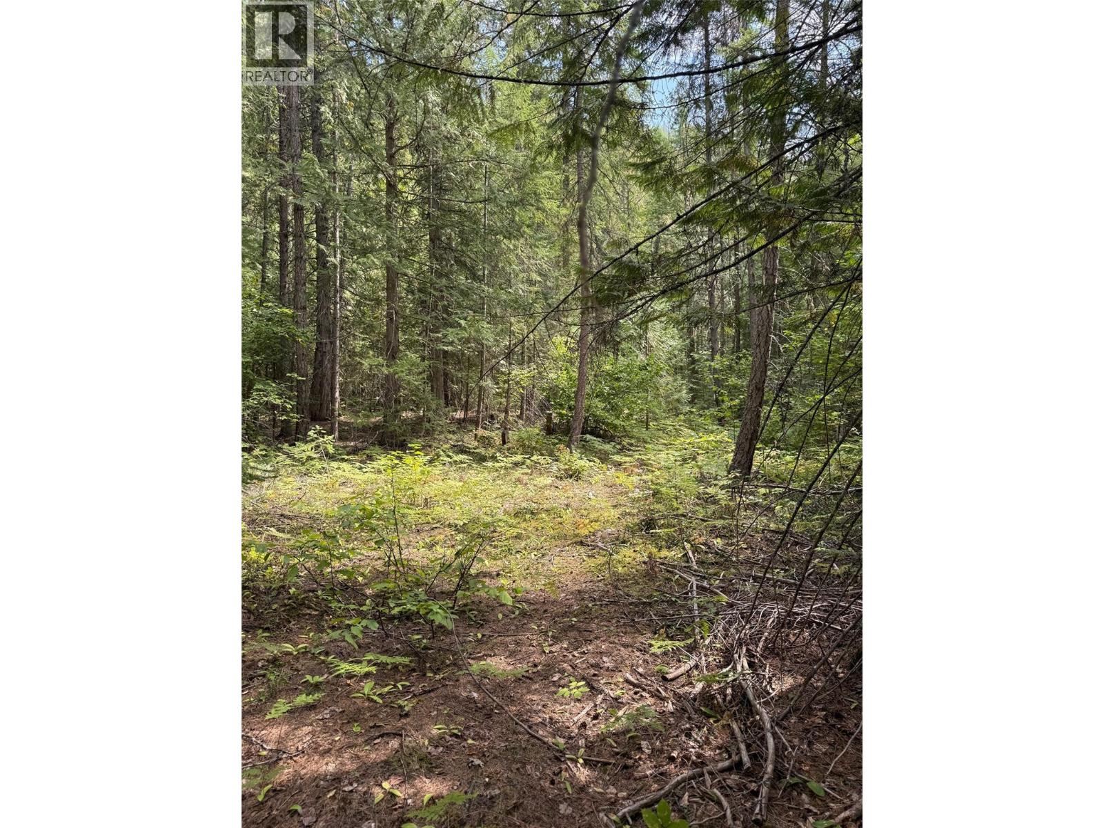 Claybrick Road Lot# 7, Winlaw, British Columbia  V0G 2J0 - Photo 10 - 10398541