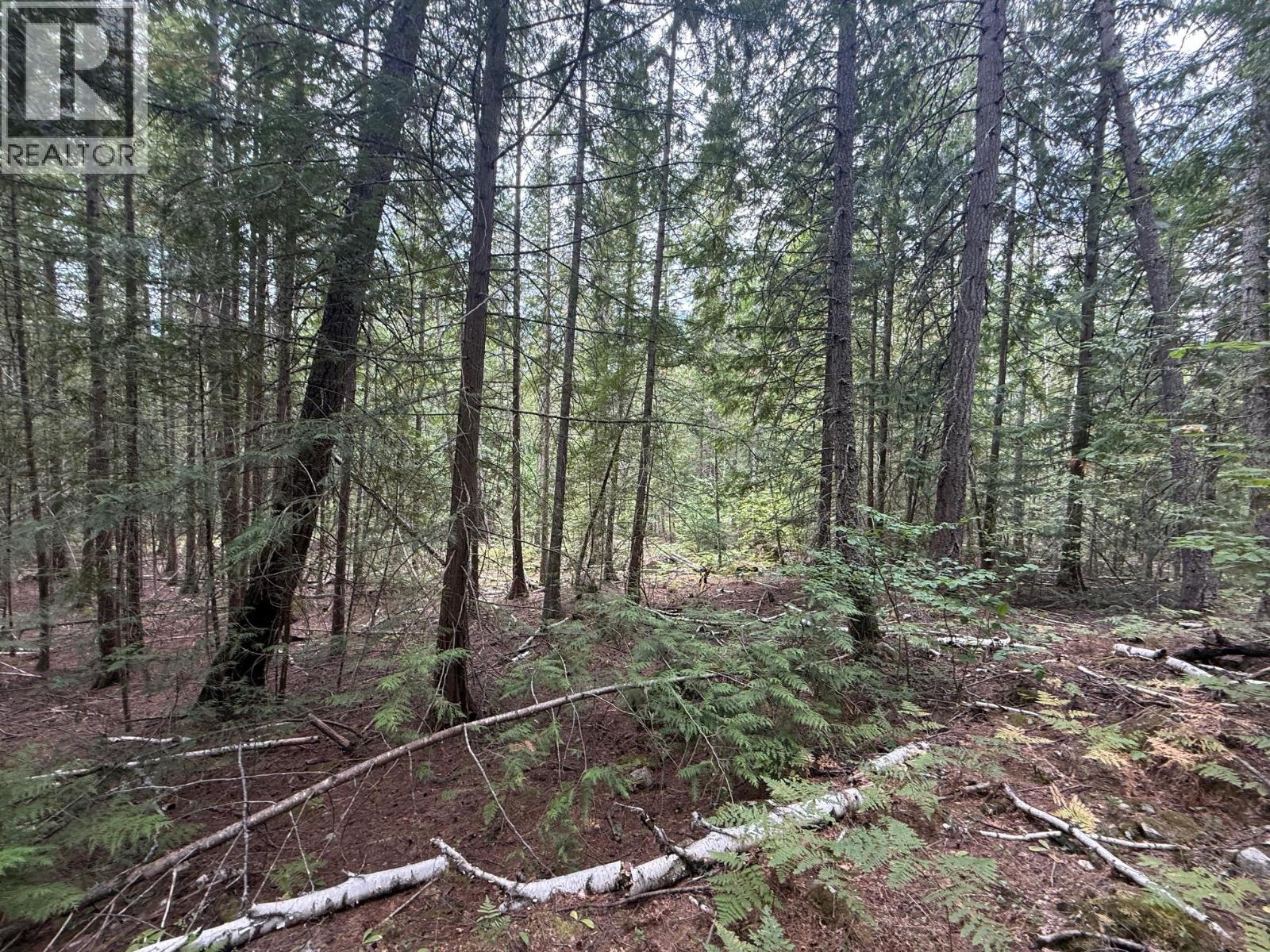 Claybrick Road Lot# 7, Winlaw, British Columbia  V0G 2J0 - Photo 11 - 10398541