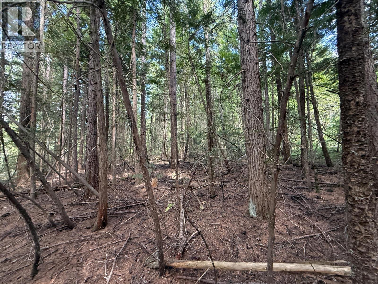 Claybrick Road Lot# 7, Winlaw, British Columbia  V0G 2J0 - Photo 2 - 10398541