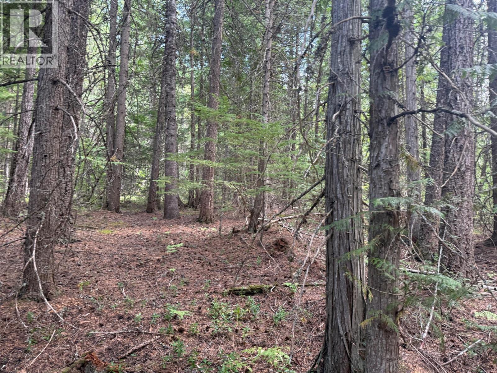 Claybrick Road Lot# 7, Winlaw, British Columbia  V0G 2J0 - Photo 3 - 10398541