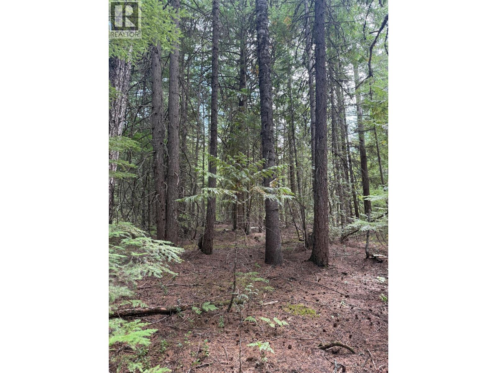 Claybrick Road Lot# 7, Winlaw, British Columbia  V0G 2J0 - Photo 4 - 10398541