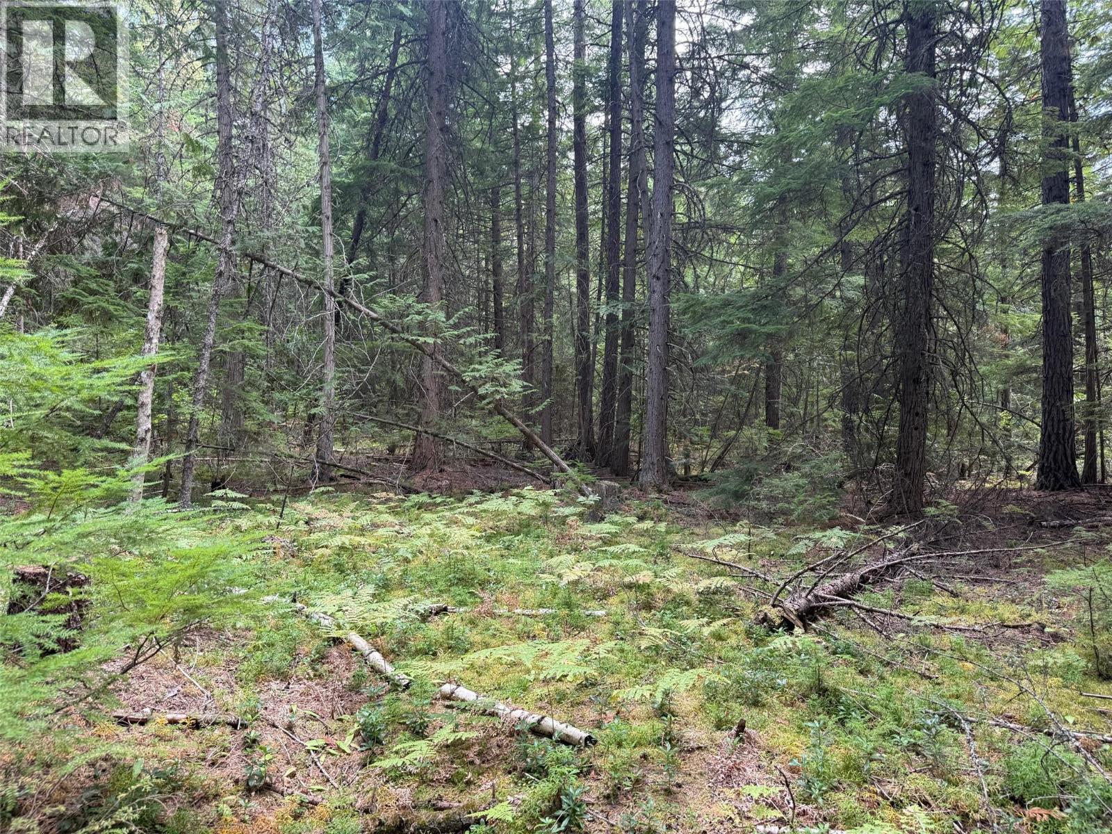 Claybrick Road Lot# 7, Winlaw, British Columbia  V0G 2J0 - Photo 5 - 10398541
