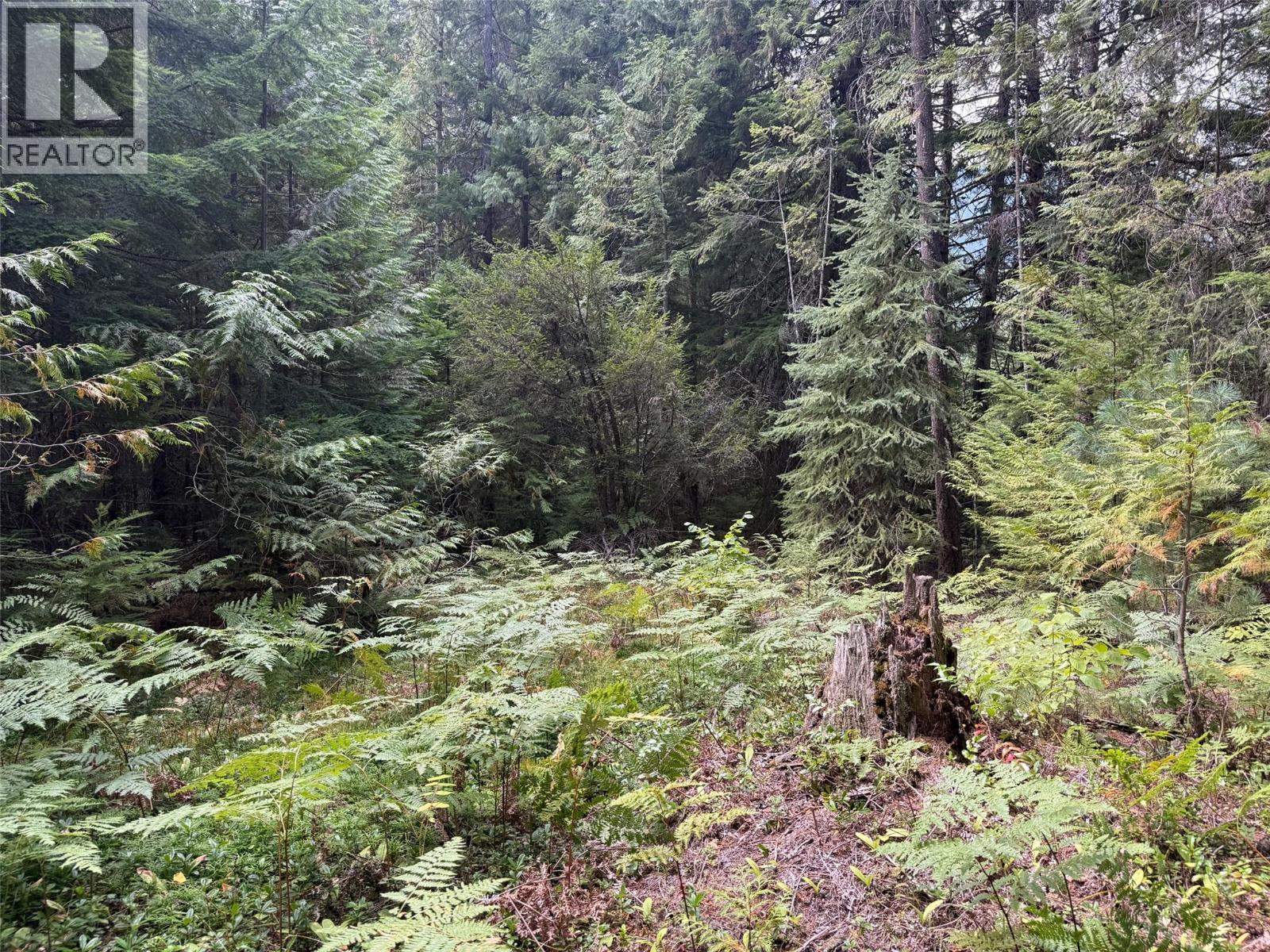 Claybrick Road Lot# 7, Winlaw, British Columbia  V0G 2J0 - Photo 6 - 10398541