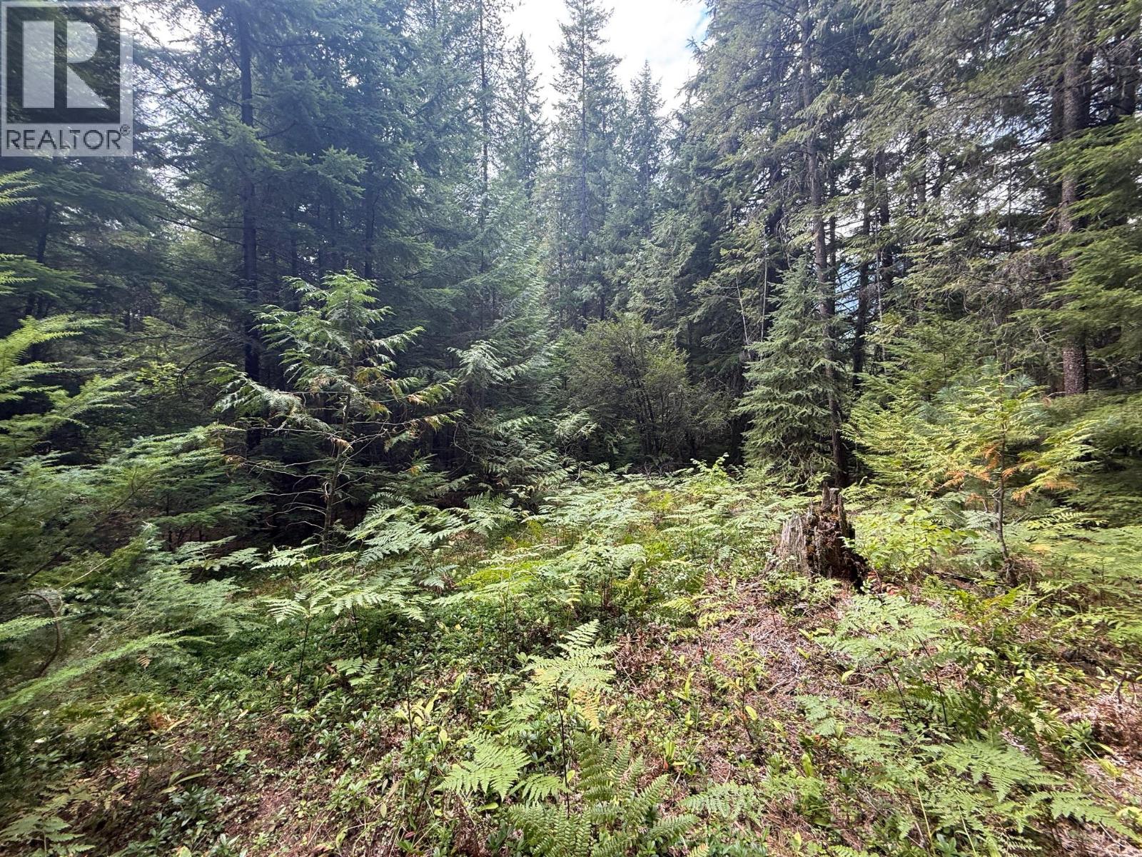 Claybrick Road Lot# 7, Winlaw, British Columbia  V0G 2J0 - Photo 7 - 10398541