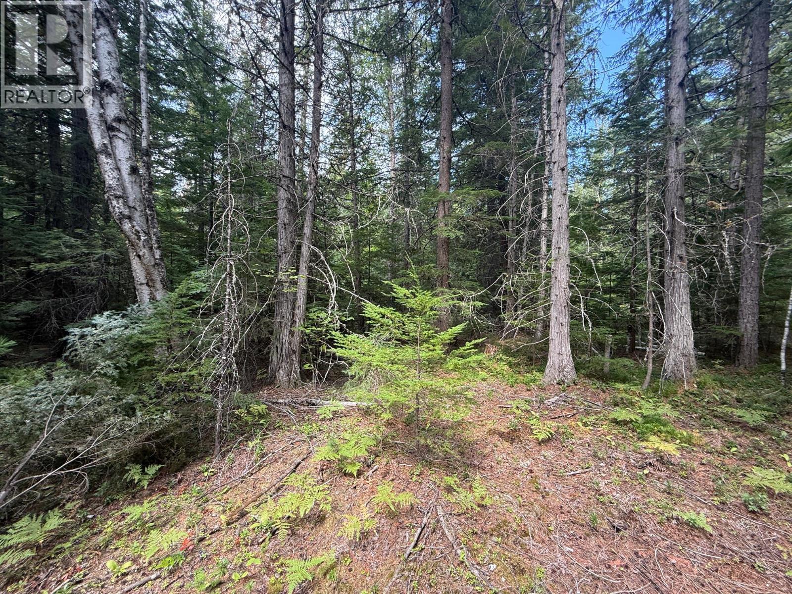 Claybrick Road Lot# 7, Winlaw, British Columbia  V0G 2J0 - Photo 8 - 10398541