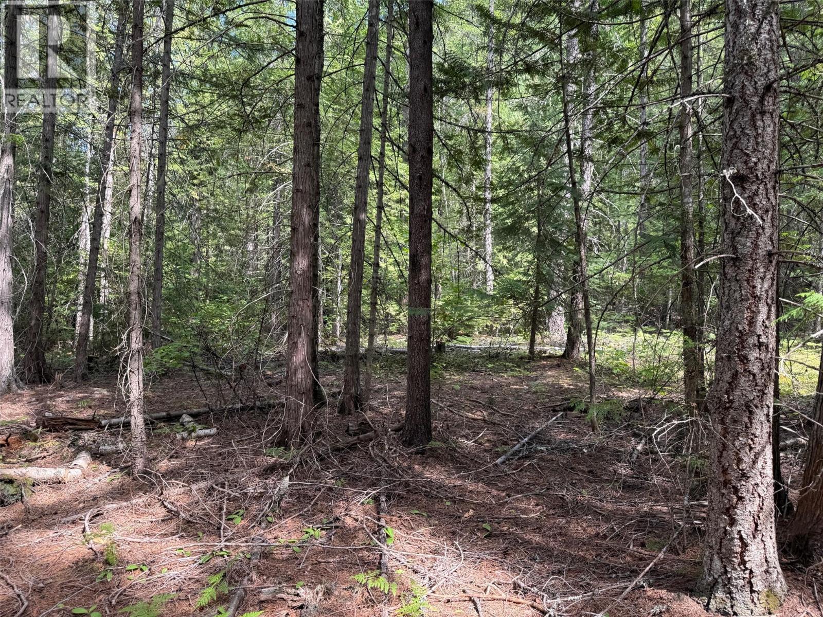 Claybrick Road Lot# 7, Winlaw, British Columbia  V0G 2J0 - Photo 9 - 10398541