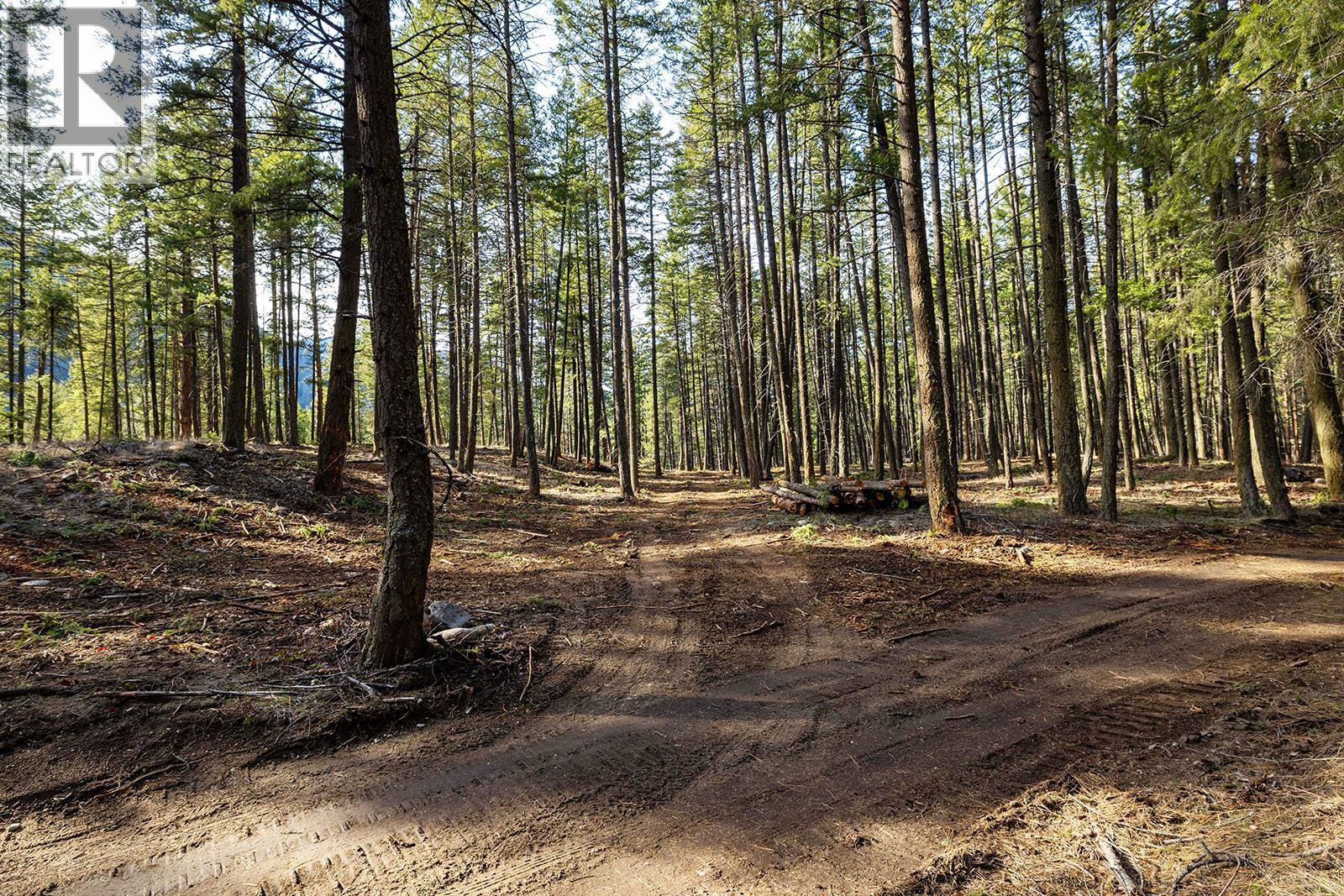 Lot A & B Trepanier Road, Peachland, British Columbia  V0H 1X3 - Photo 24 - 10398556