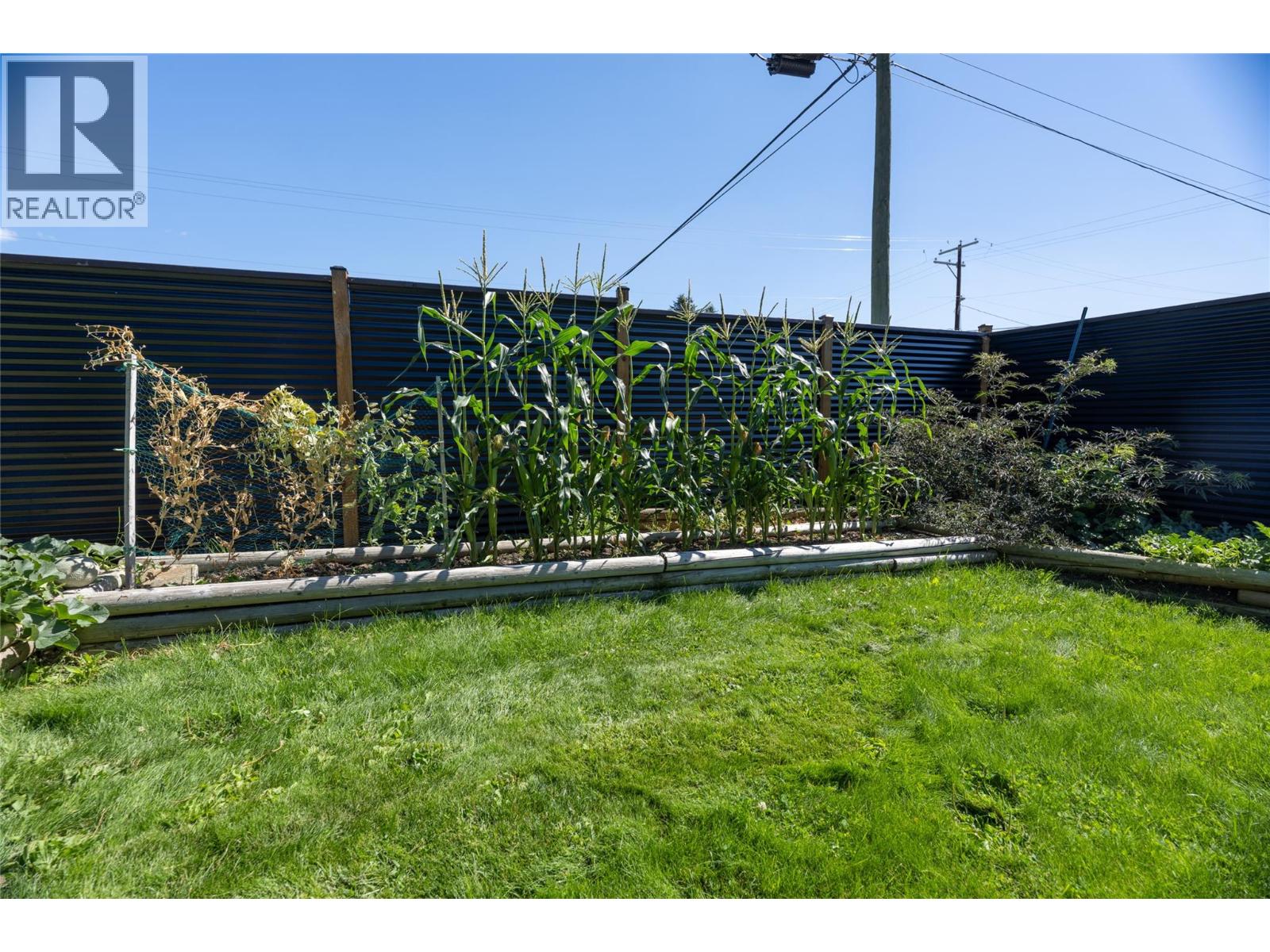 411 Gertrude Street, Midway, British Columbia  V0H 1M0 - Photo 8 - 10398715