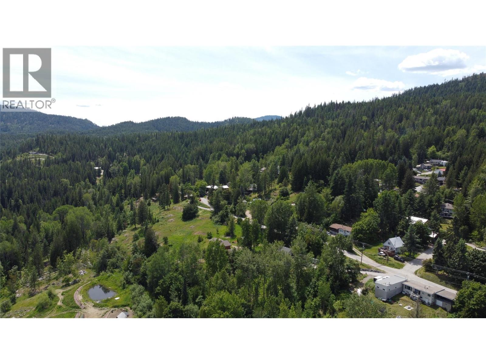 2050 Phoenix Avenue, Rossland, British Columbia  V0G 1Y0 - Photo 14 - 10398523