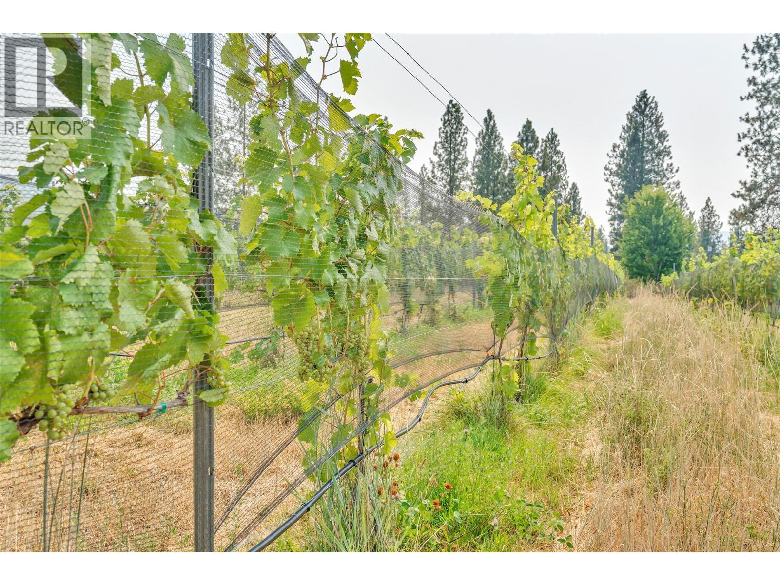 4112 Mclean Creek Road, Okanagan Falls, British Columbia  V0H 1R1 - Photo 35 - 10398670