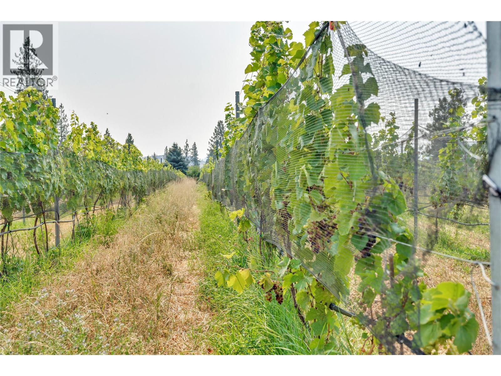 4112 Mclean Creek Road, Okanagan Falls, British Columbia  V0H 1R1 - Photo 36 - 10398670