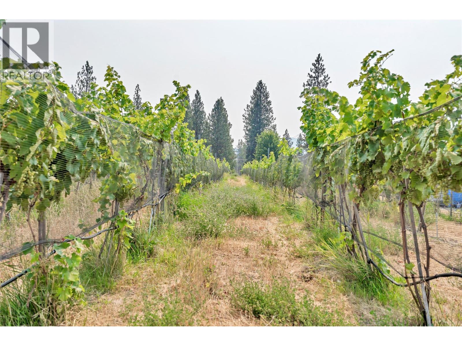 4112 Mclean Creek Road, Okanagan Falls, British Columbia  V0H 1R1 - Photo 39 - 10398637
