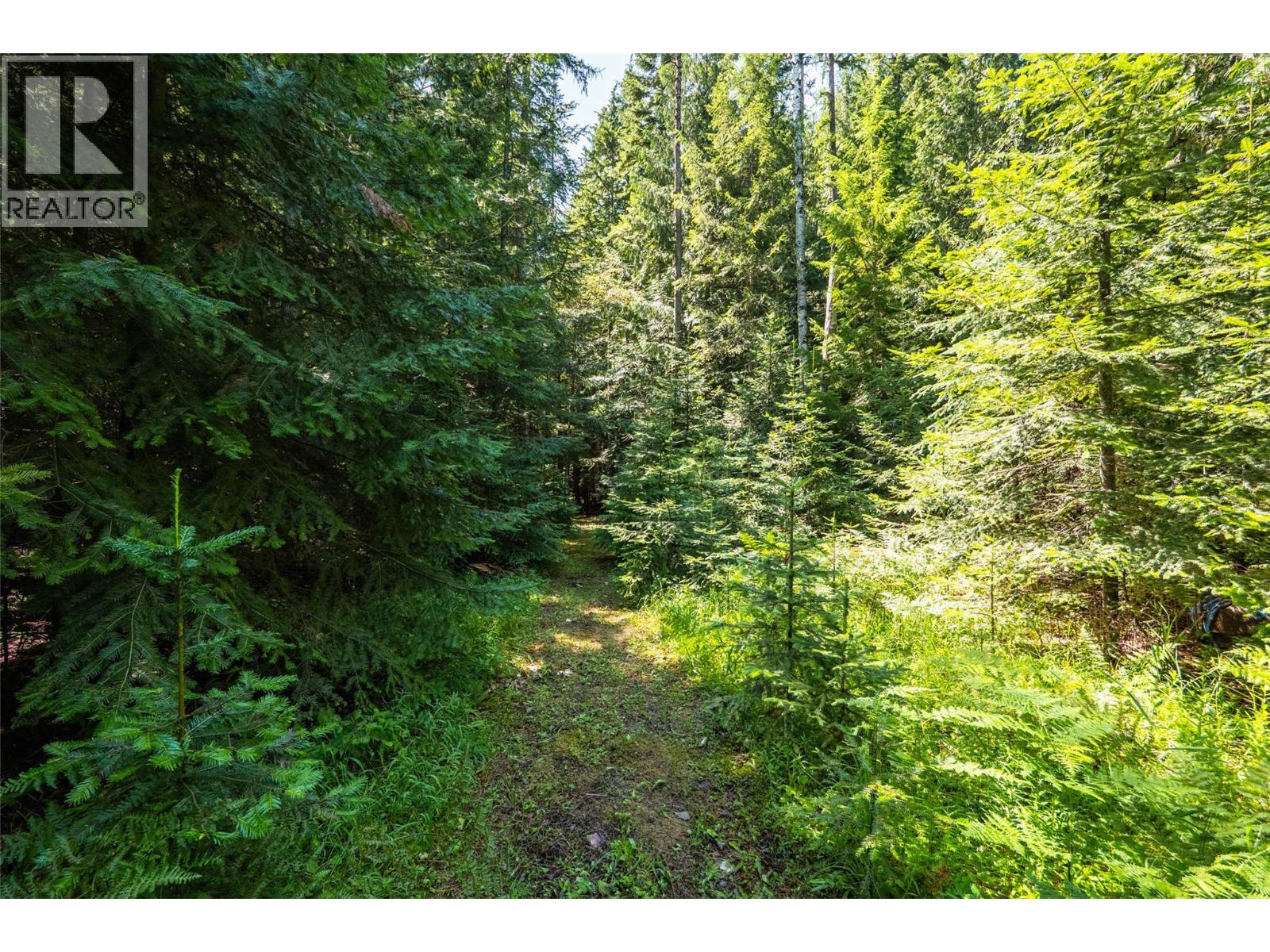 541 Bear Road, Salmo, British Columbia  V0G 1Z0 - Photo 78 - 10398532