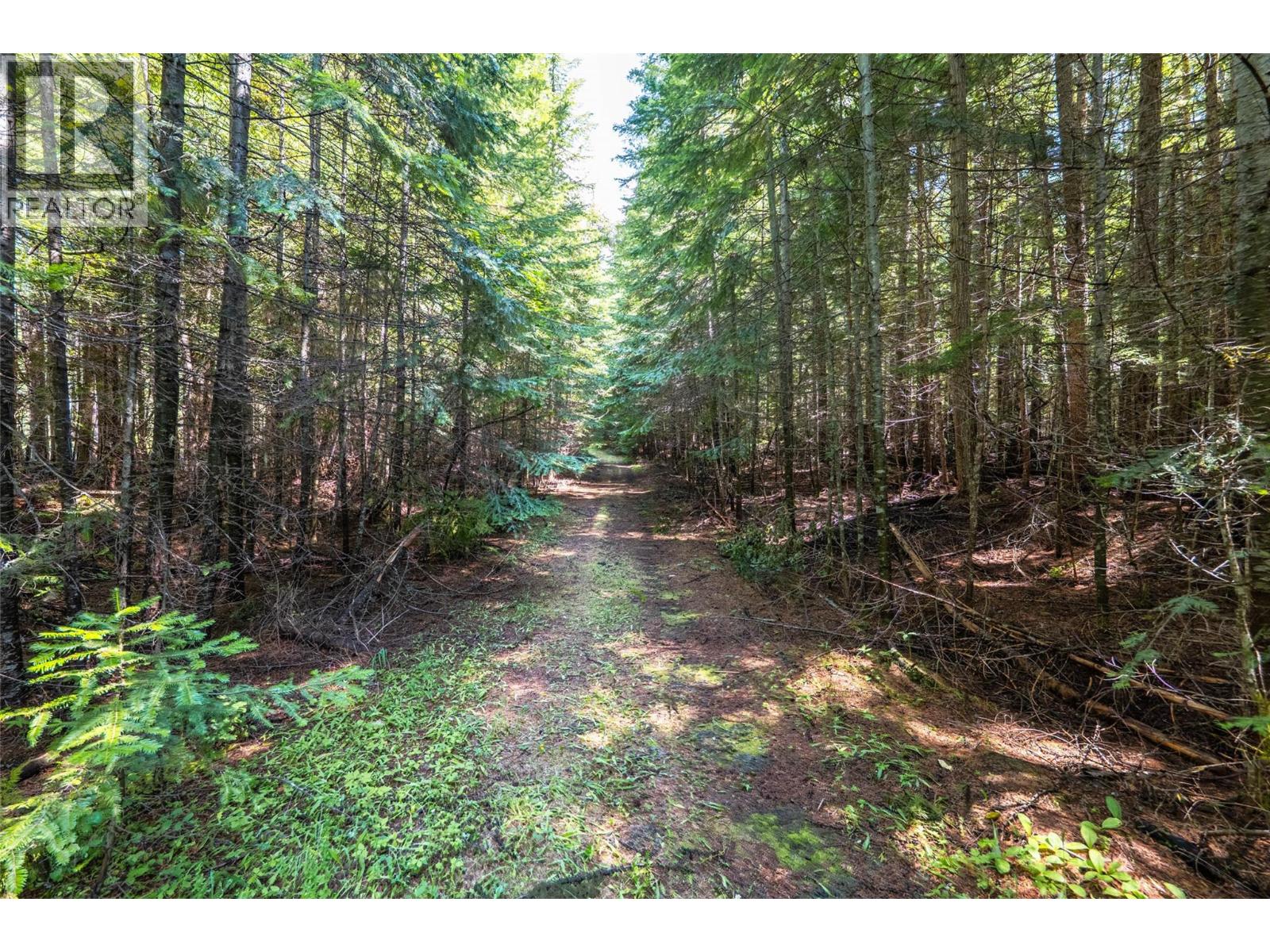 541 Bear Road, Salmo, British Columbia  V0G 1Z0 - Photo 83 - 10398532