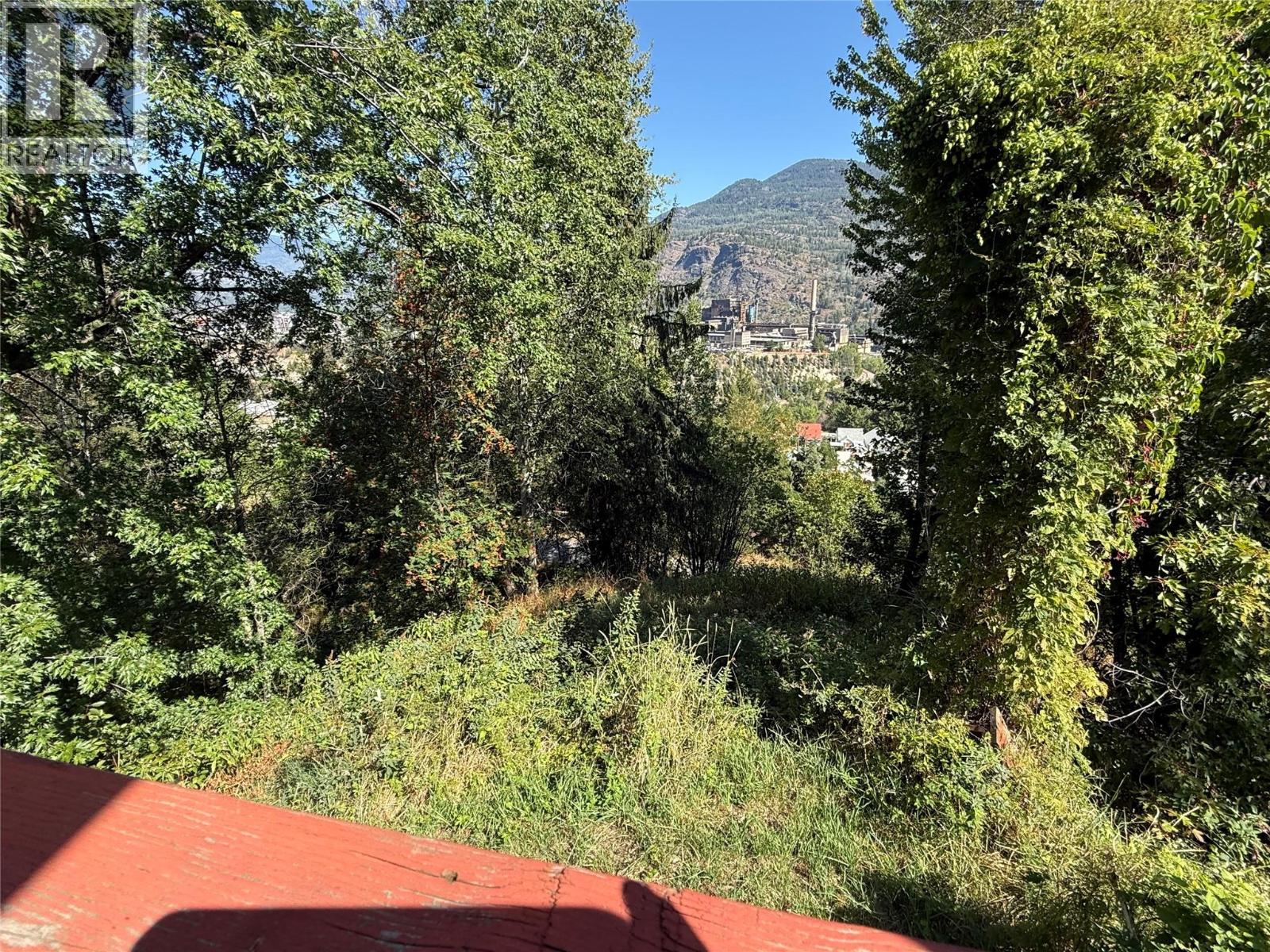 943 Mountain Street, Trail, British Columbia  V1R 3G6 - Photo 17 - 10398793
