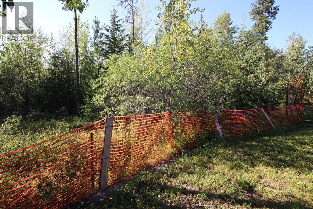 436 Bergeron Drive, Tumbler Ridge, British Columbia  V0C 2W0 - Photo 5 - 10398816