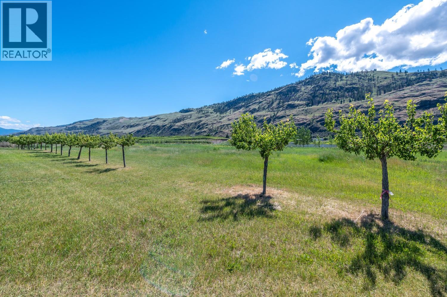 294 Road 18 Road, Oliver, British Columbia  V0H 1T1 - Photo 41 - 10398703