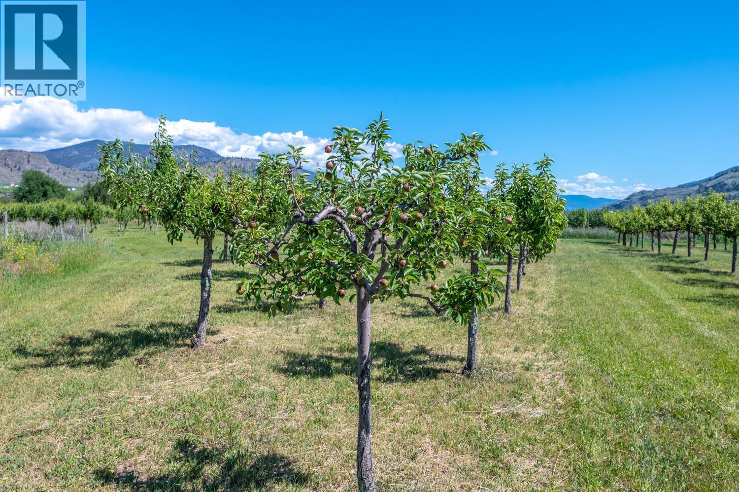 294 Road 18 Road, Oliver, British Columbia  V0H 1T1 - Photo 39 - 10398702