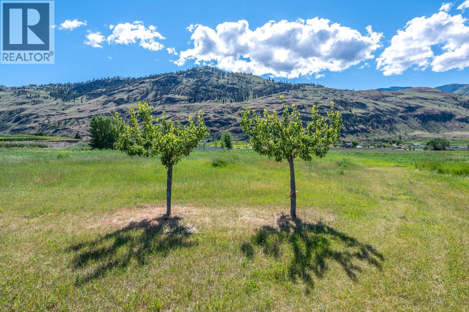 294 Road 18 Road, Oliver, British Columbia  V0H 1T1 - Photo 41 - 10398702