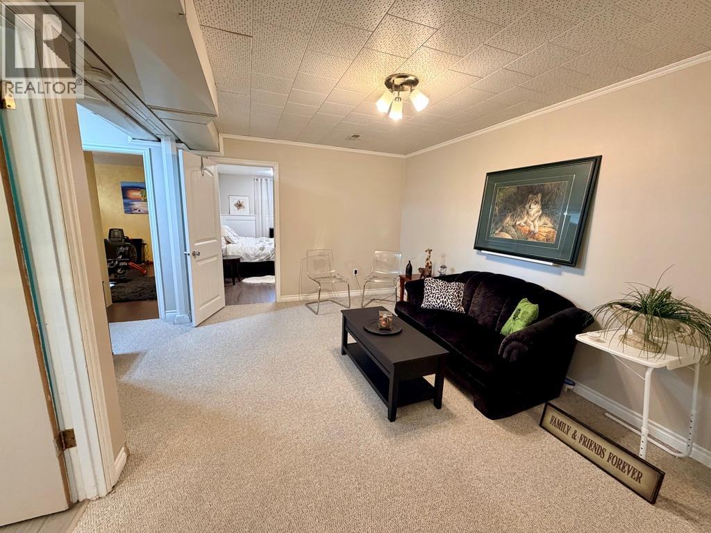 1045 93 Avenue, Dawson Creek, British Columbia  V1G 1E3 - Photo 20 - 10398862