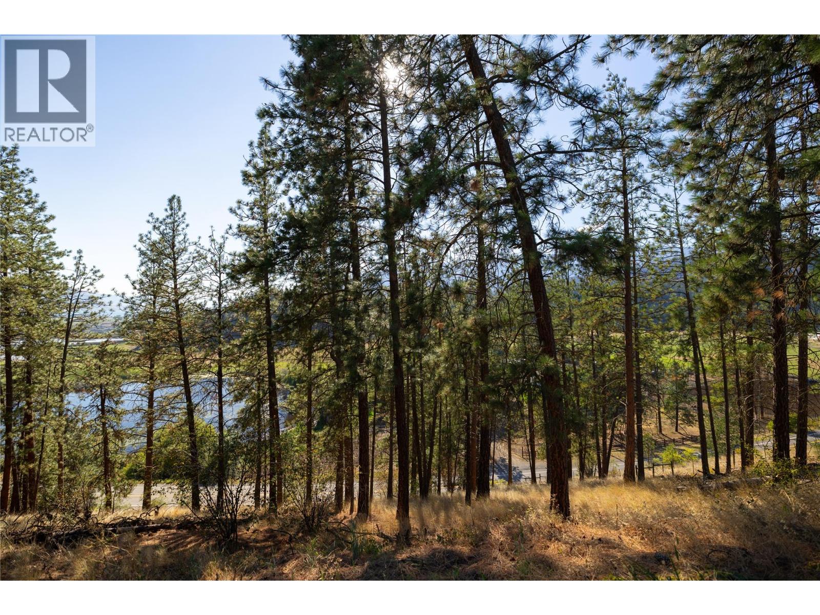 9510 Highway 97n Unit# 170, Vernon, British Columbia  V1H 1R8 - Photo 13 - 10398897