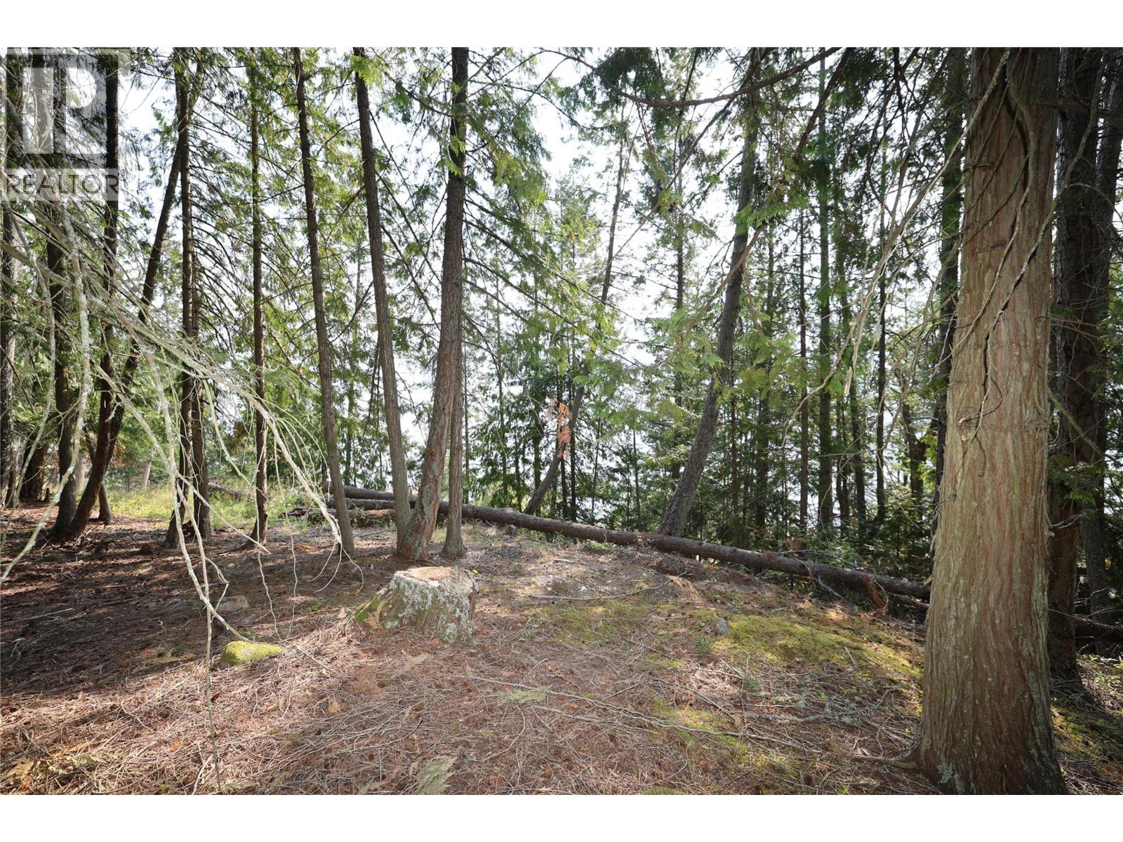 11993 Highway 3a, Destiny Bay, British Columbia  V0B 1A3 - Photo 10 - 10398420