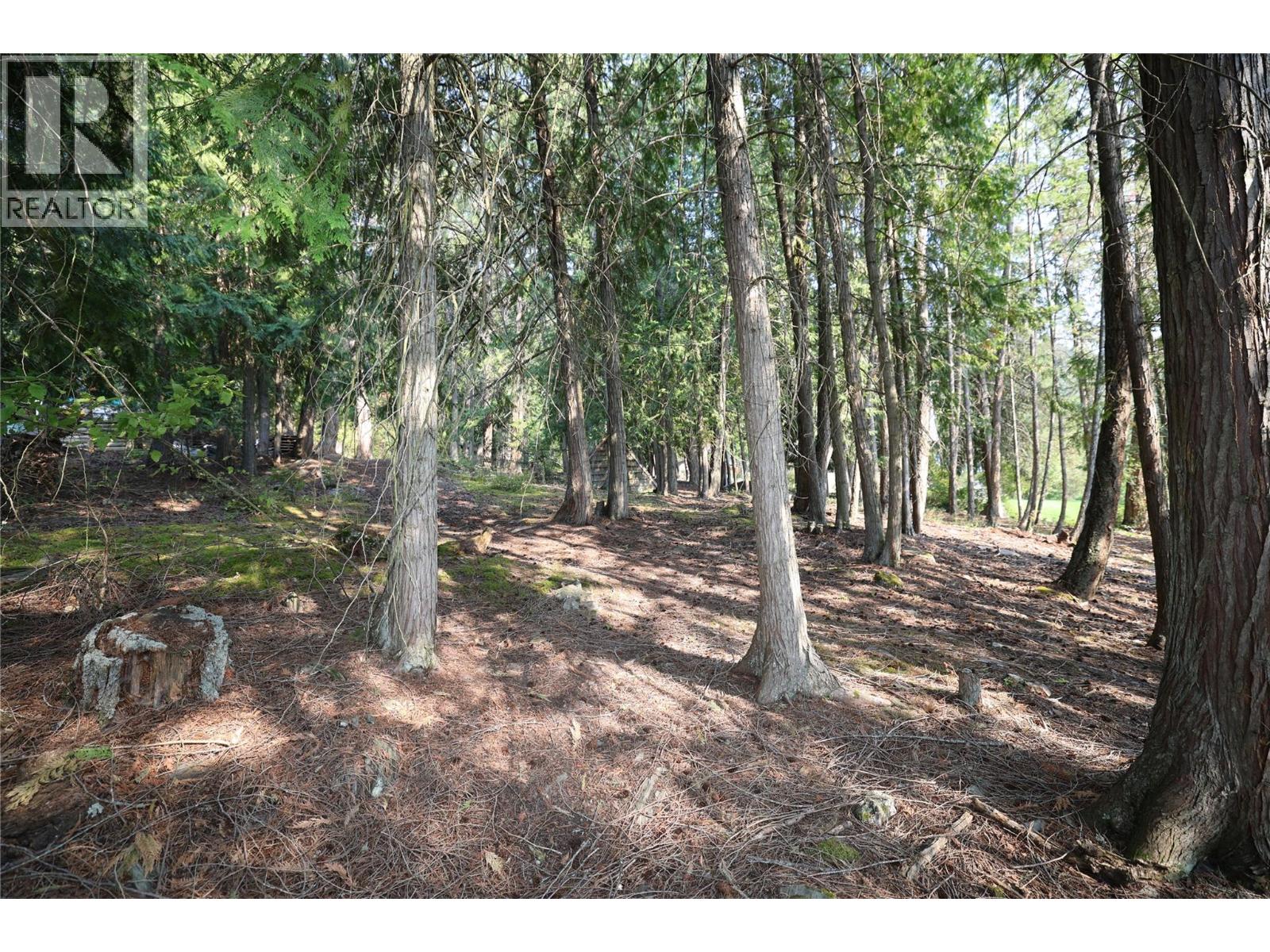11993 Highway 3a, Destiny Bay, British Columbia  V0B 1A3 - Photo 11 - 10398420