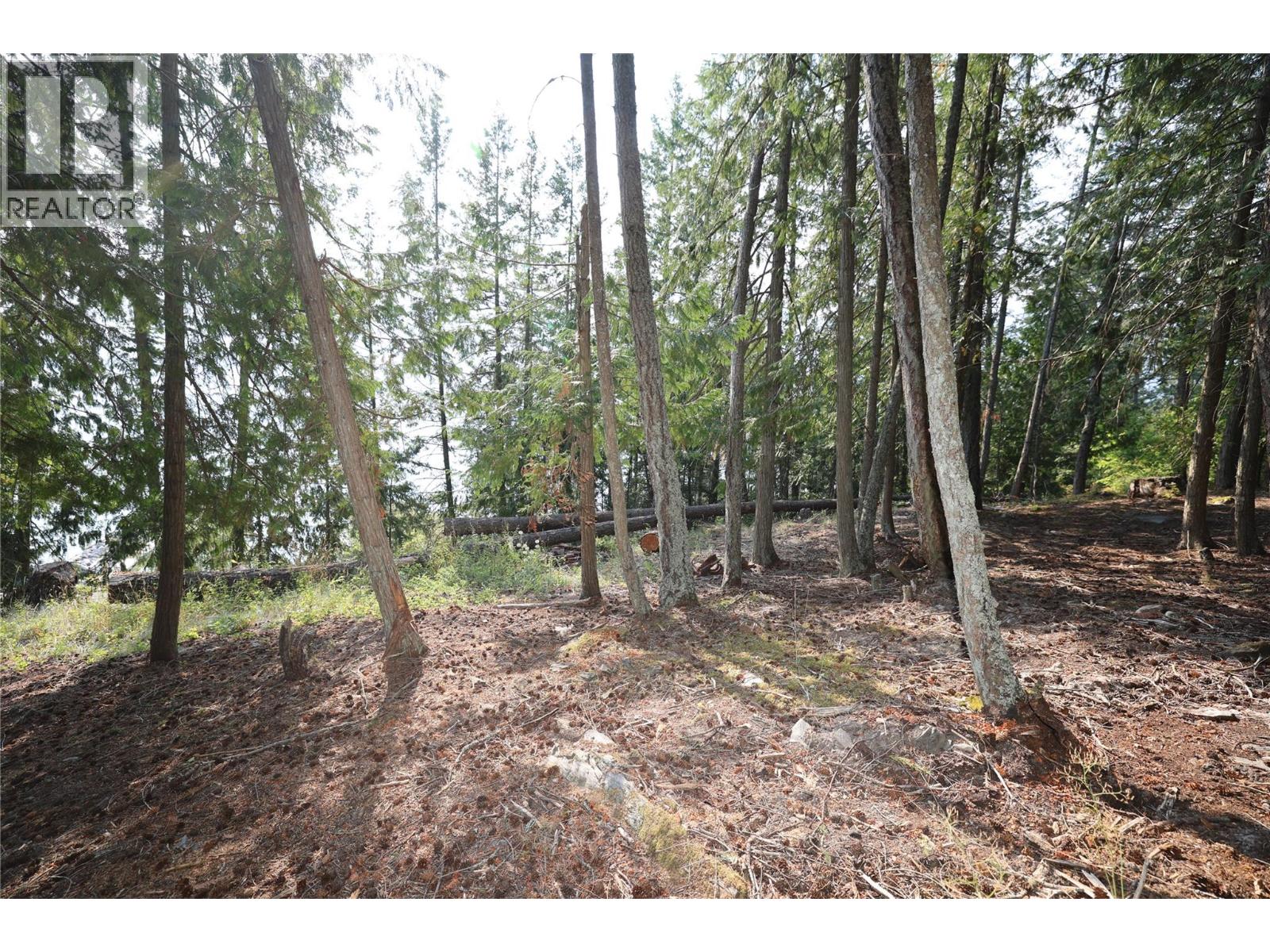 11993 Highway 3a, Destiny Bay, British Columbia  V0B 1A3 - Photo 12 - 10398420