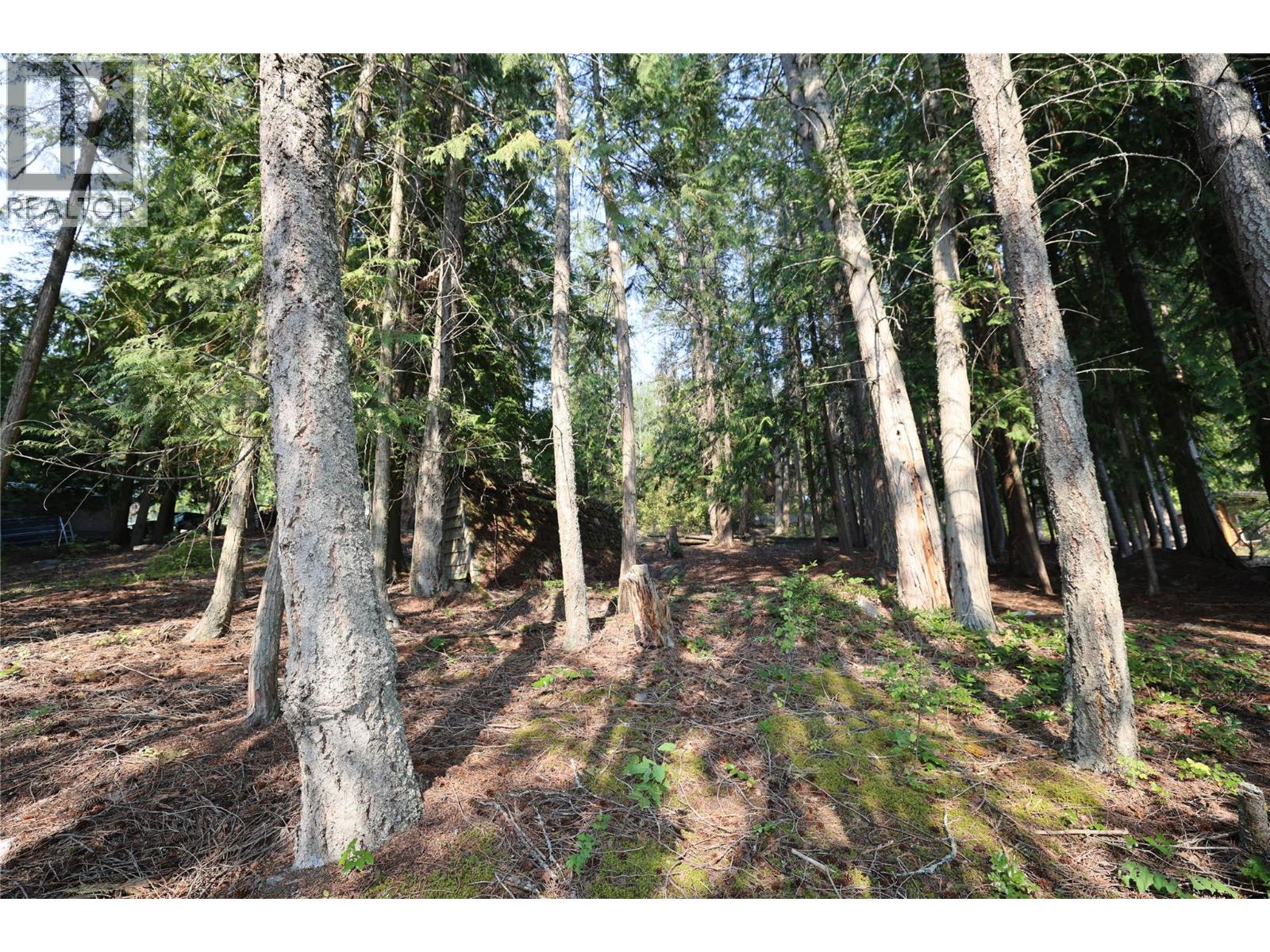 11993 Highway 3a, Destiny Bay, British Columbia  V0B 1A3 - Photo 13 - 10398420