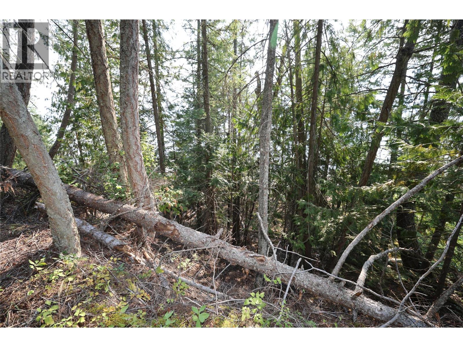 11993 Highway 3a, Destiny Bay, British Columbia  V0B 1A3 - Photo 9 - 10398420