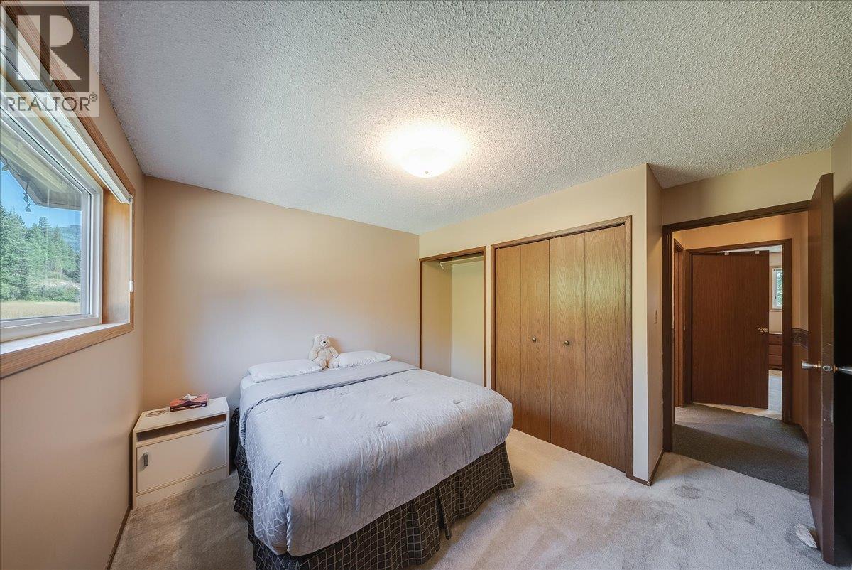 317 Rose Road, Salmo, British Columbia  V0G 1Z0 - Photo 19 - 10398764