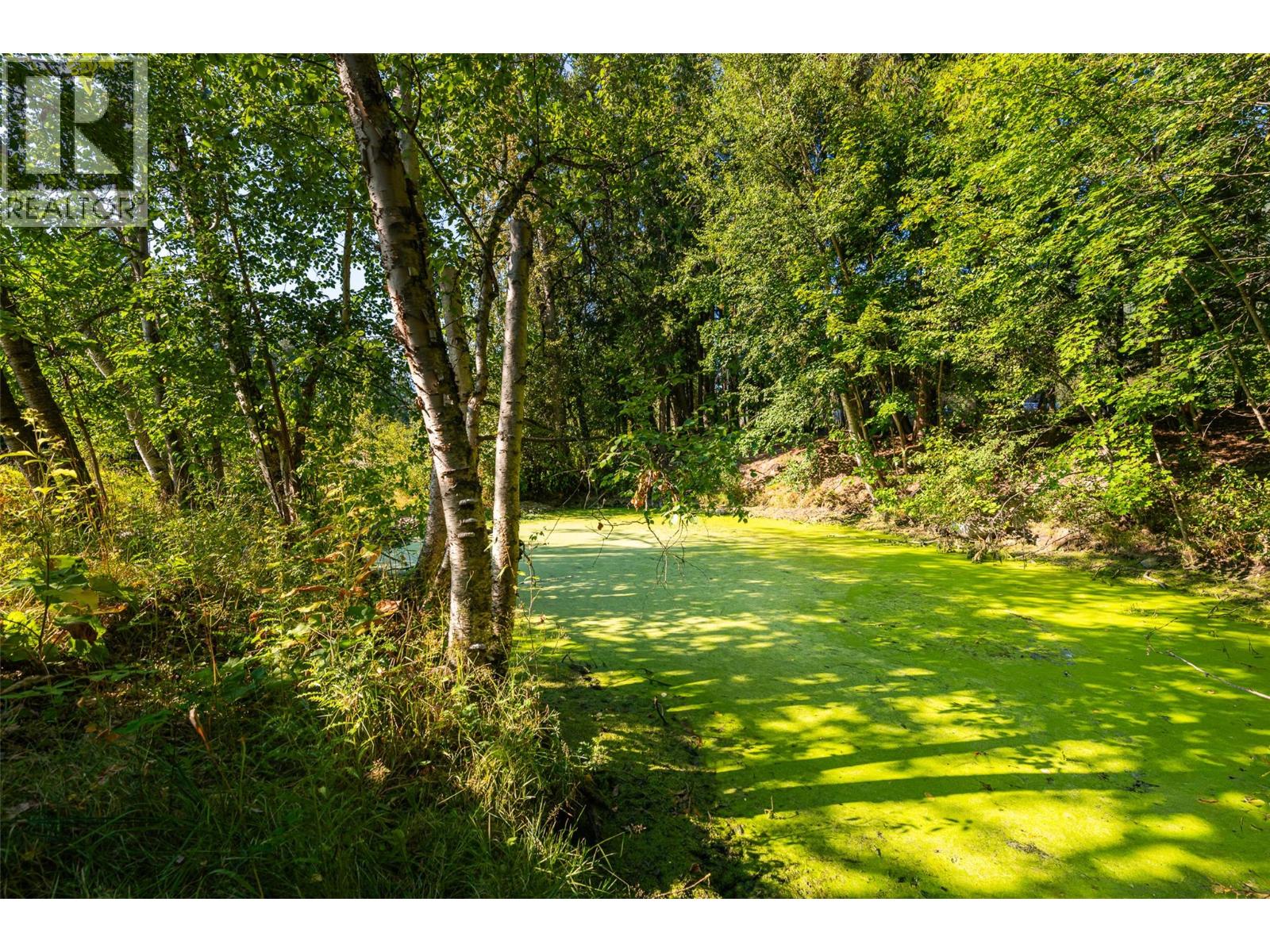 4638 Samuelson Road, Canyon, British Columbia  V0B 1C1 - Photo 31 - 10398870