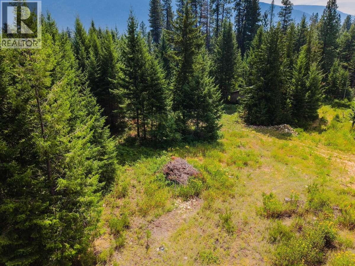 2842 Six Mile Lakes Road Lot# Lot 2, Nelson, British Columbia  V1L 6W3 - Photo 1 - 10398974