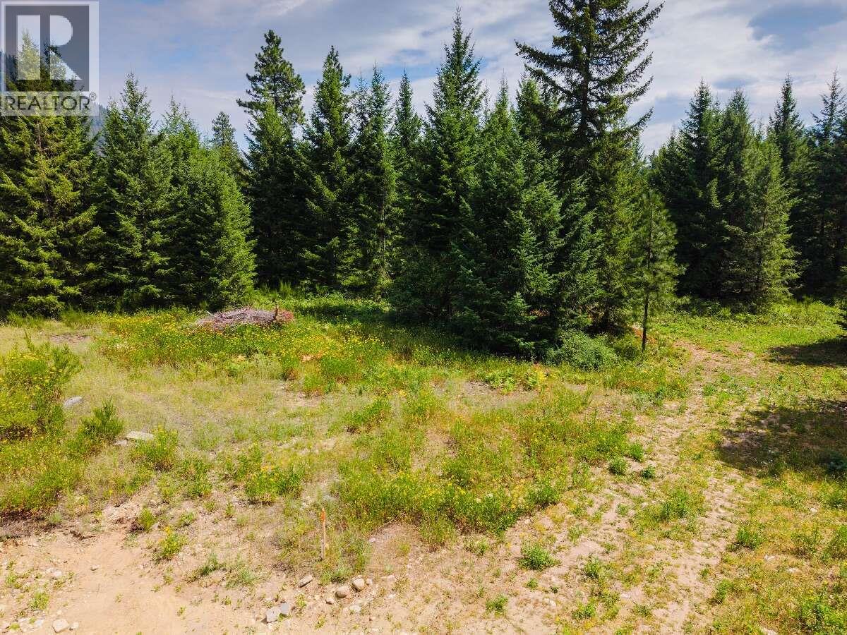 2842 Six Mile Lakes Road Lot# Lot 2, Nelson, British Columbia  V1L 6W3 - Photo 10 - 10398974