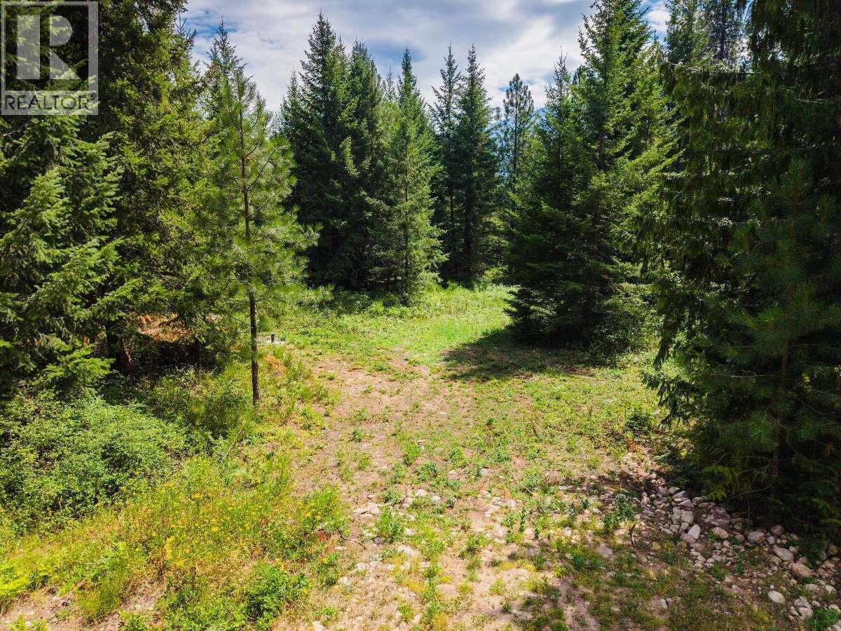 2842 Six Mile Lakes Road Lot# Lot 2, Nelson, British Columbia  V1L 6W3 - Photo 11 - 10398974